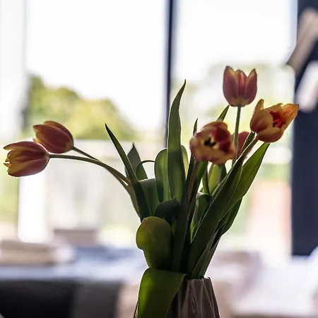 Hotel Panorama Szczecinek