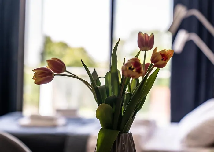 Hotell Panorama Szczecinek